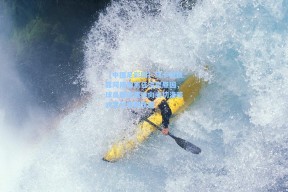 【中国足彩网】马卡报披露阿隆索离任深层原因，球员群体更倾向安切洛蒂式宽松管理氛围