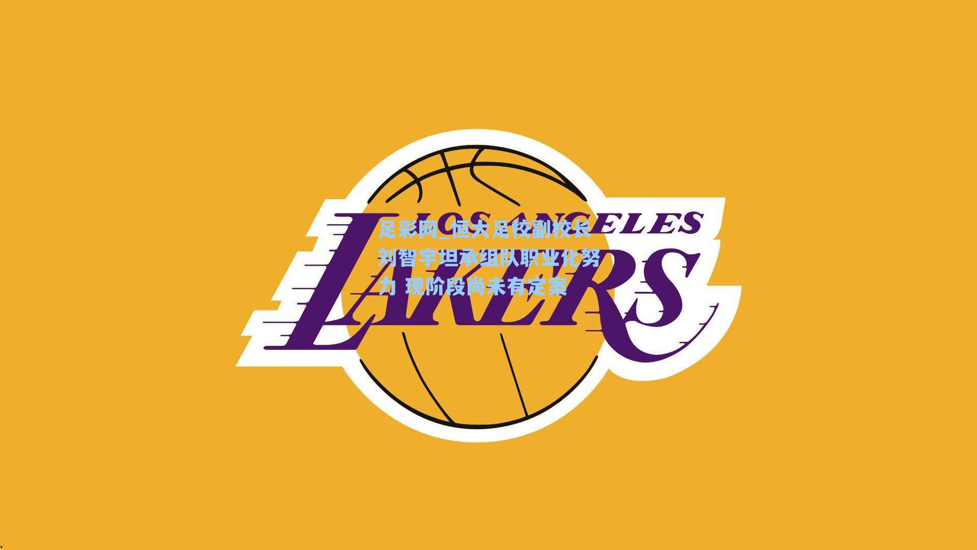 恒大足校副校长刘智宇坦承组队职业化努力 现阶段尚未有定案