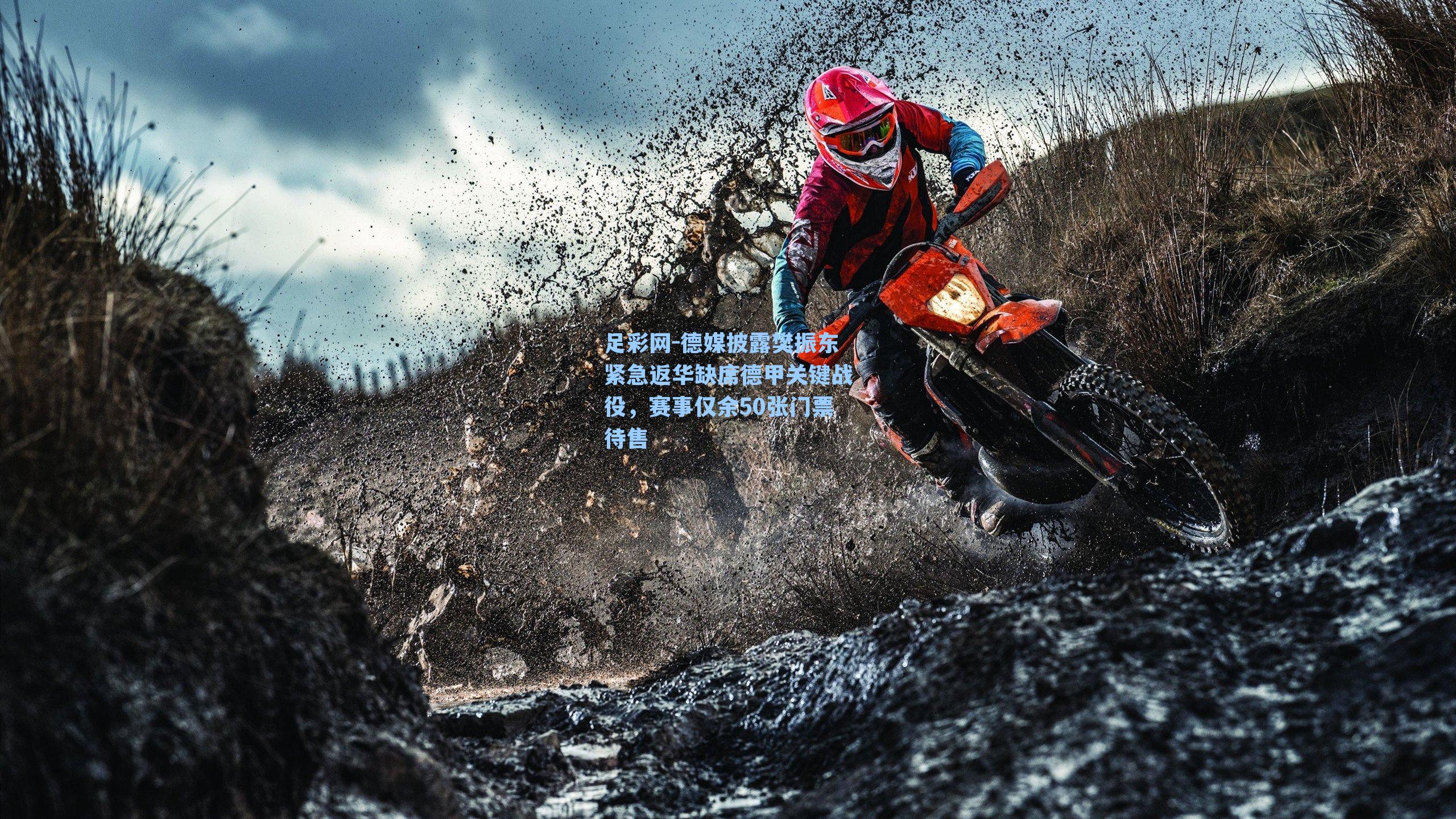 德媒披露樊振东紧急返华缺席德甲关键战役，赛事仅余50张门票待售